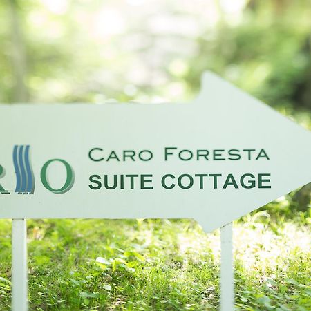 Hôtel Caro Foresta Kita Karuizawa Rio à Tsumagoi Extérieur photo
